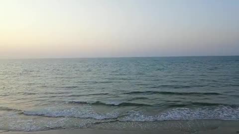 Sea
