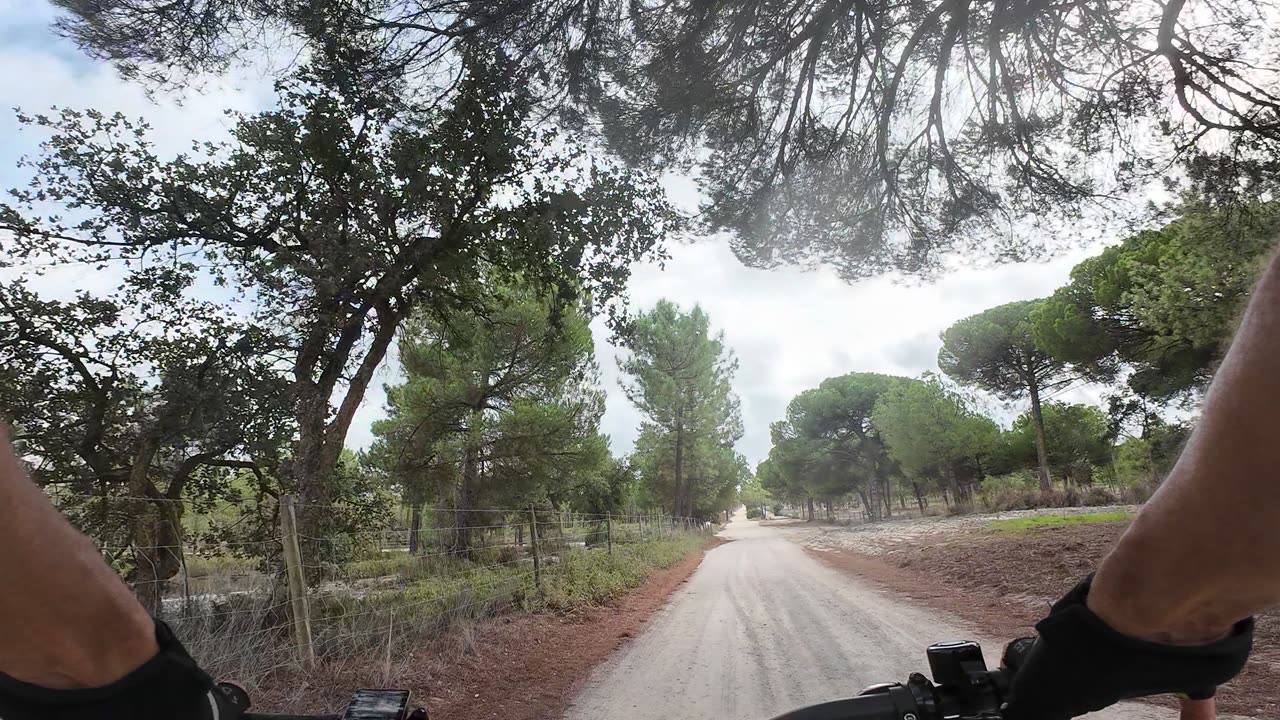 E-BIKE RIDE pela MS e-st 900 S05E21 5th of Oct 2K24 PART 8