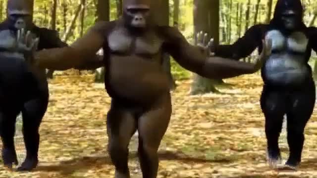 King Kong is alive!