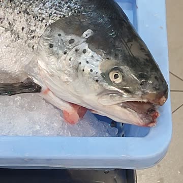 Mercado 💹 suscríbete