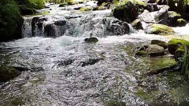 slow-motion-footage-of-water-pouring-down-on-rocky-river-in-the-woods