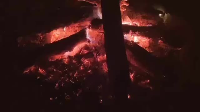 Fireside Relaxing