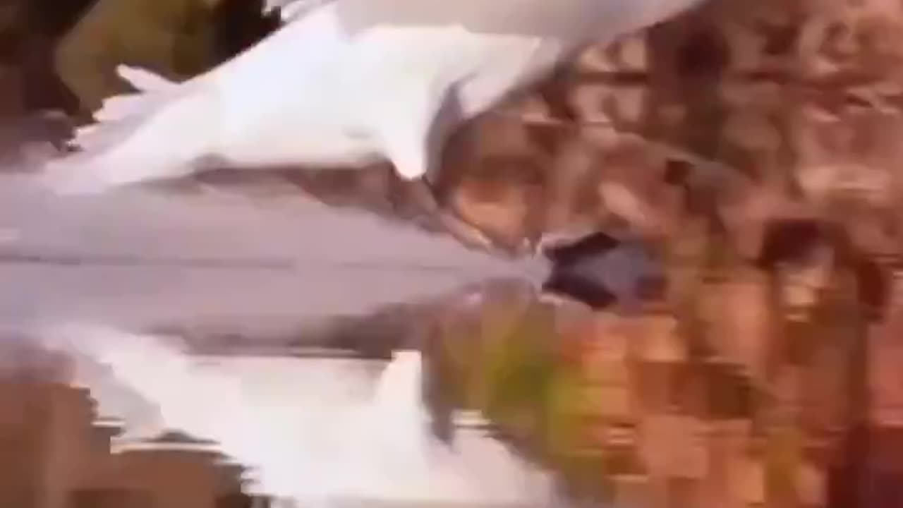 Cool landing
