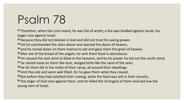 Psalm 78:1-31 Devotion