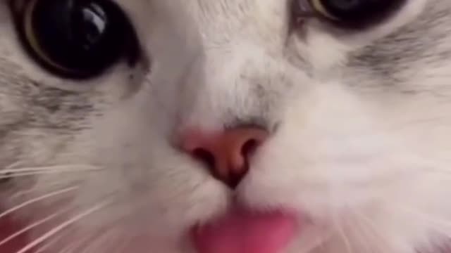 How can there be such a lovely creature in this world