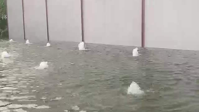 nice fountain