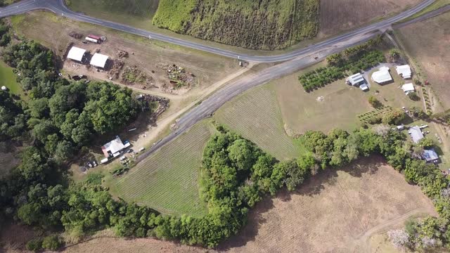 Eagle Ambushes Drone Joy Flight