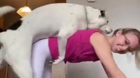 Cheeky dog interrupts workout 🤭