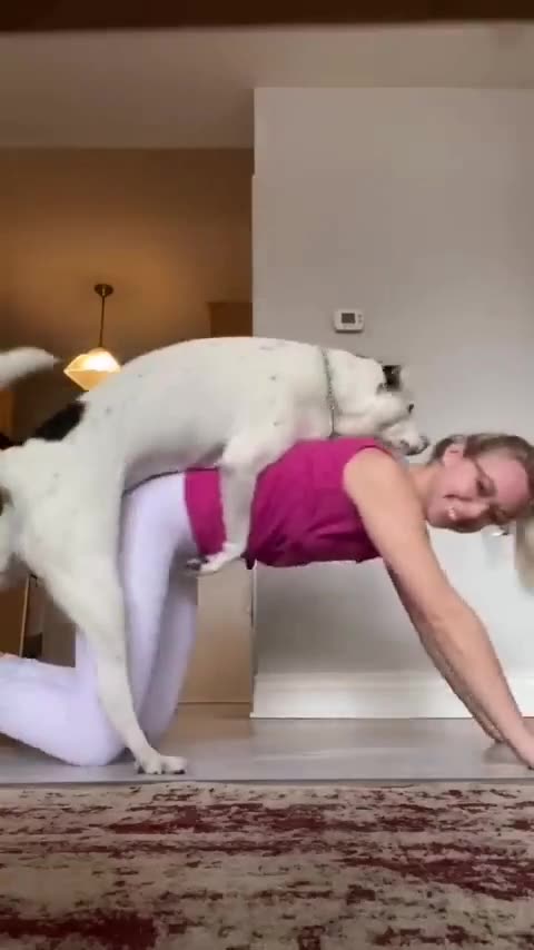 Cheeky dog interrupts workout 🤭