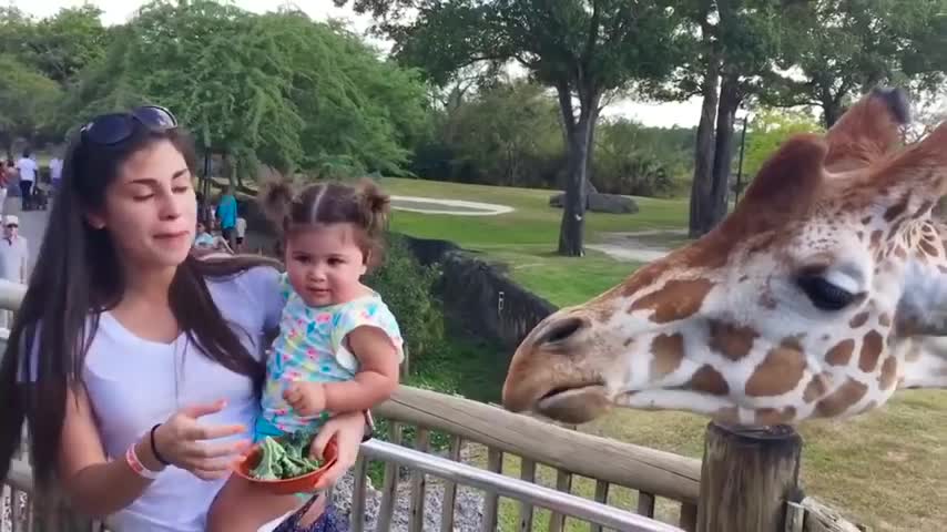 fun kids and animals