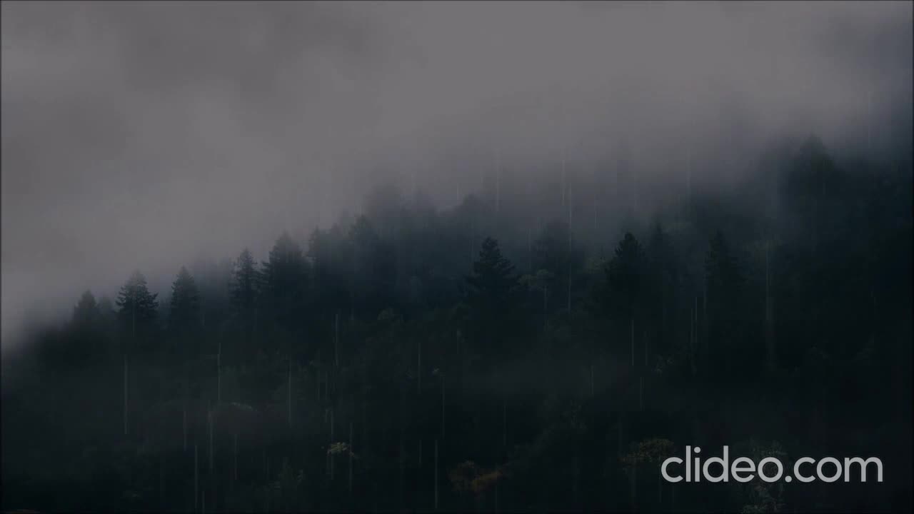 heavy Stream and Foggy Forest Ambience to Help Sleep/Study/Relax 2021