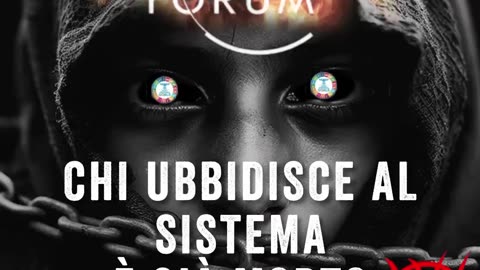 CHI UBBIDISCE AL SISTEMA È GIÀ MORTO‼️