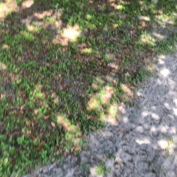 Riding horses at river ranch