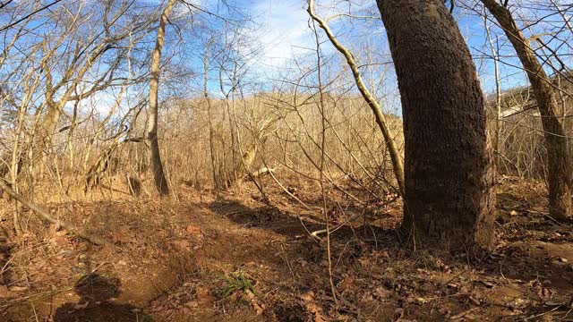 Sand Bars and Hill Climbs on Dirtbikes!