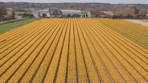Are Environmental Regulations Killing Farmers' Livelihoods?