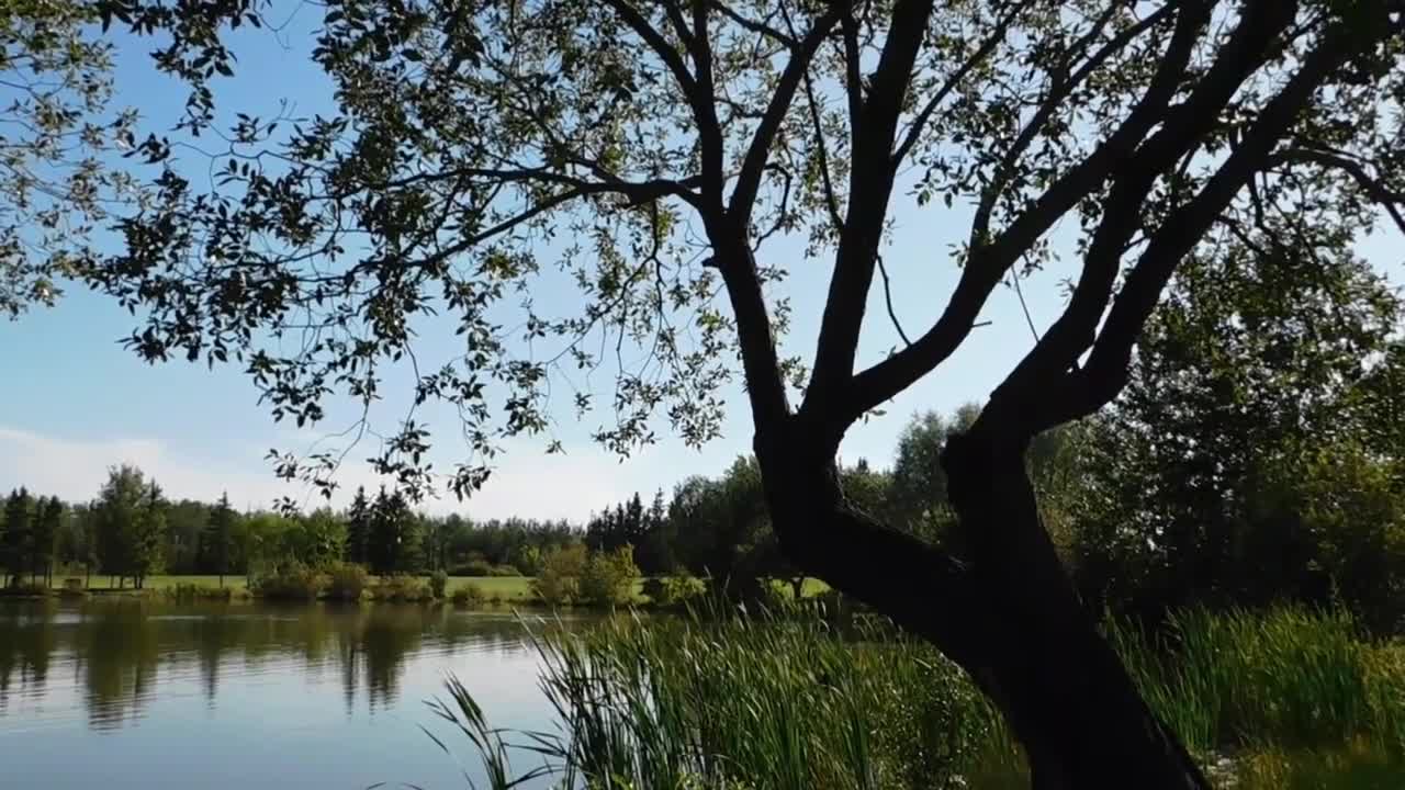 Deep sleeping meditation music to relax mind and body