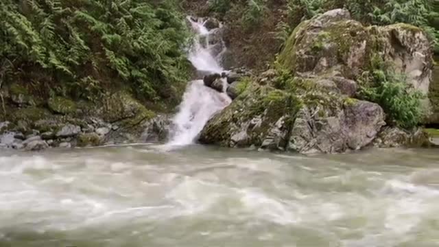 Relaxing Sound of a Mighty River