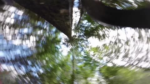 Evolve II / FPV Freestyle