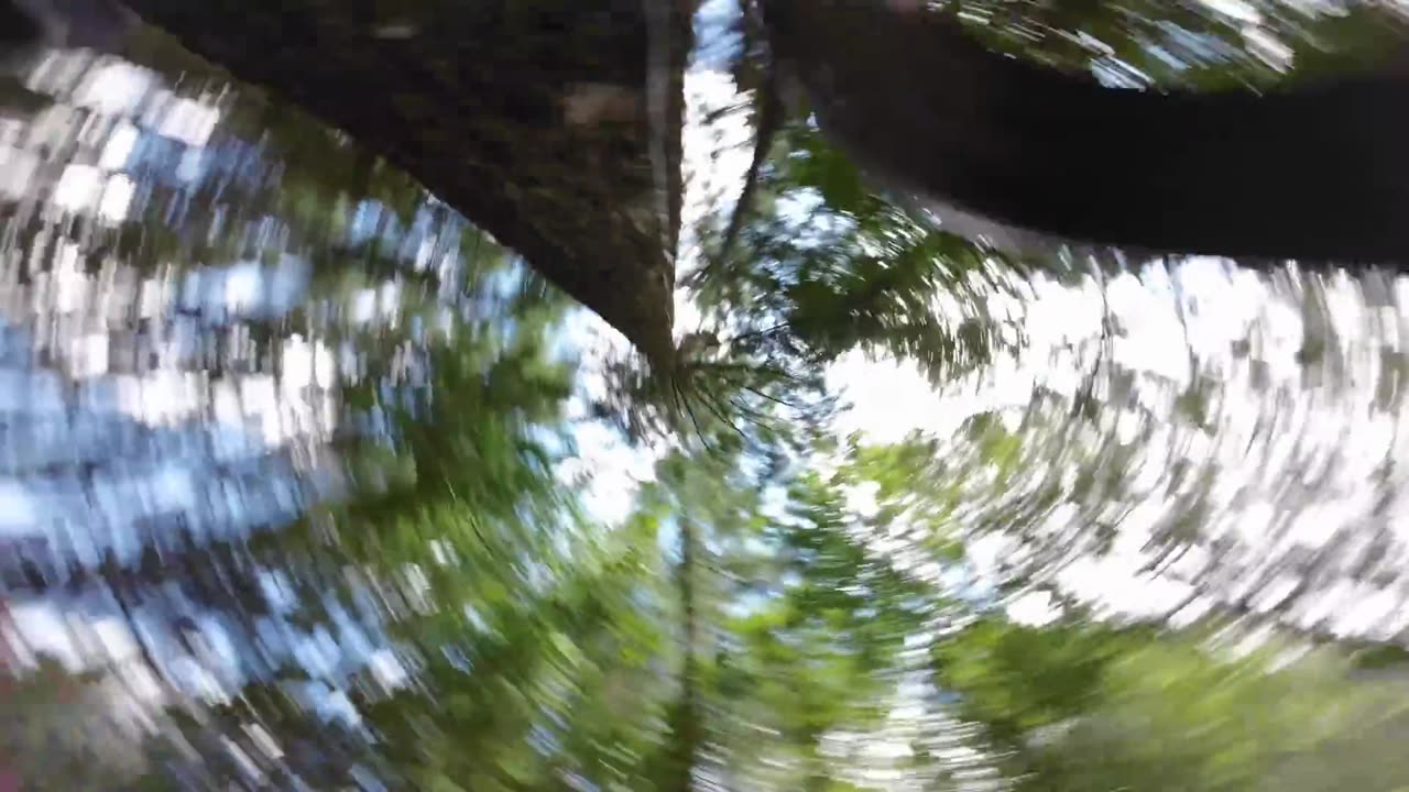 Evolve II / FPV Freestyle