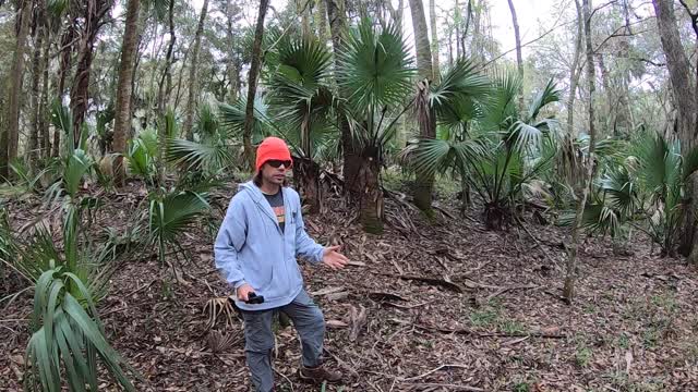 Canoeing to a Spring on the Withlacoochee River