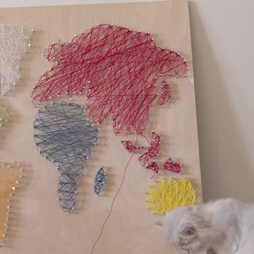 Curious Cat Exploring a World Map