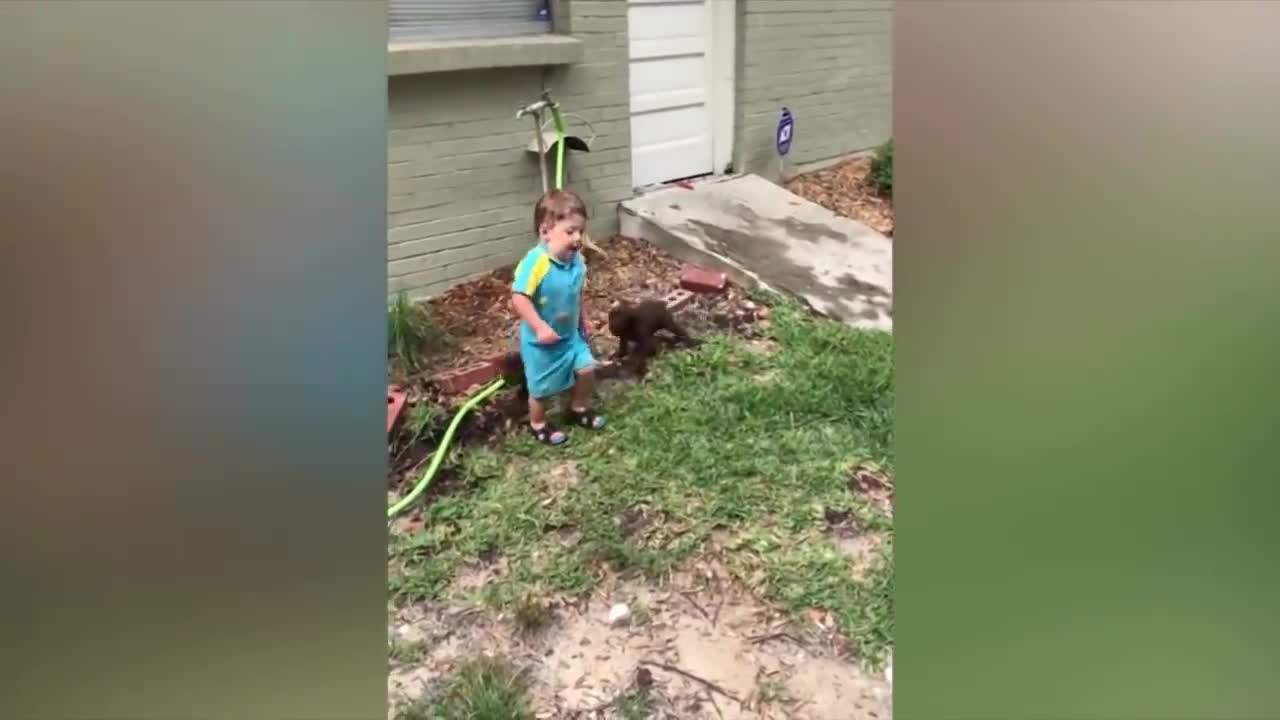 Dogs And Babies Are Best Friends!!!