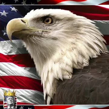 THEY ARE GOING TO BE JUDGED AND HAVE BEEN JUDGED 🪖🔥🇺🇸