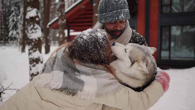 dog playing in the snow very cute