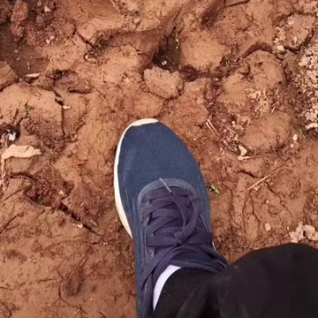 Most Trending and Viral video #shorts #trending #youtubeshorts #youtube #viral #short #youtuber