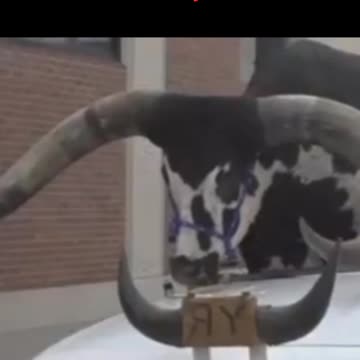 You thought U picked up WEIRD passengers, Lol