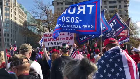 March for 45(“they’re so dumb they don’t even know it!”)