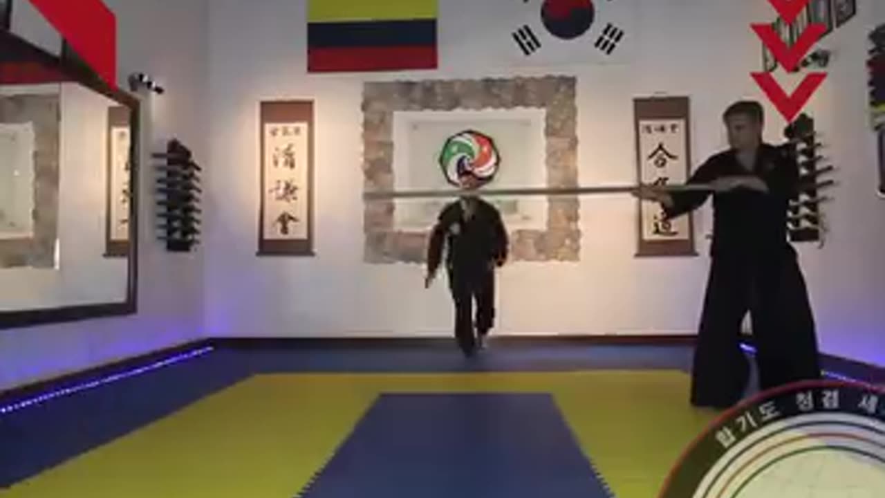 Hapkido