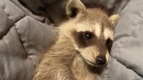 So cute!
