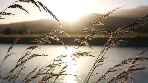 Relaxing river sounds, nature and meditation sounds