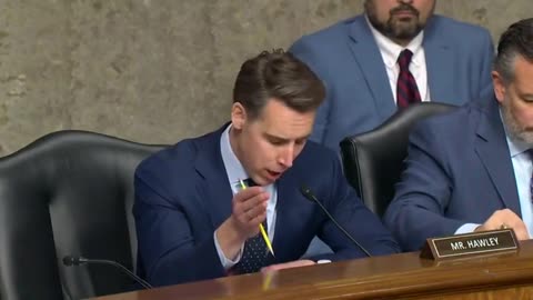 Missouri Sen. Josh Hawley Confronts Witness On Illegal Immigration