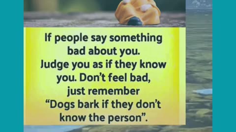 Just Remember This: Dogs Bark If They Don't Know The Person...