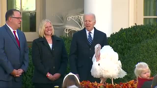 President Biden pardons Thanksgiving turkeys at annual White House event