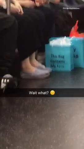 This bag contains my face wait what