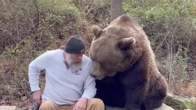 MAN & BEAR