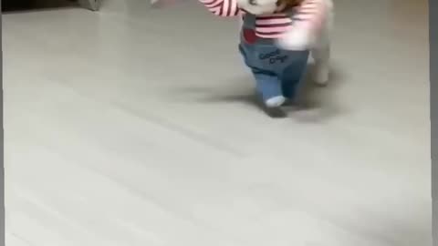 A funny cute pet