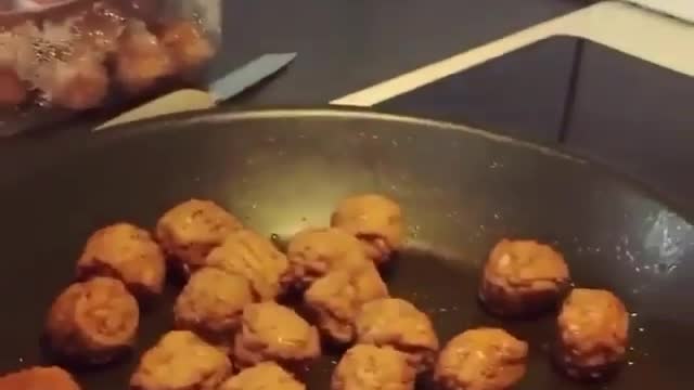 Animals funny video f