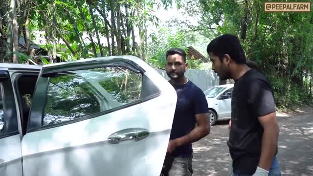 Child monkey response after his mom had chance by slugs