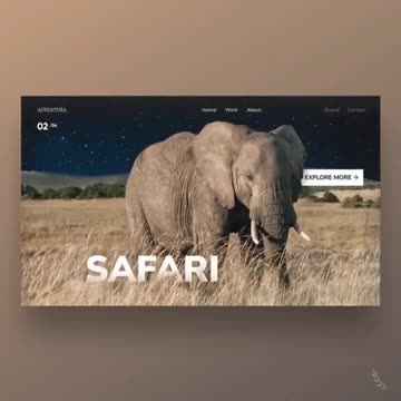 The Future of Websites: Bold Designs & Seamless Experiences