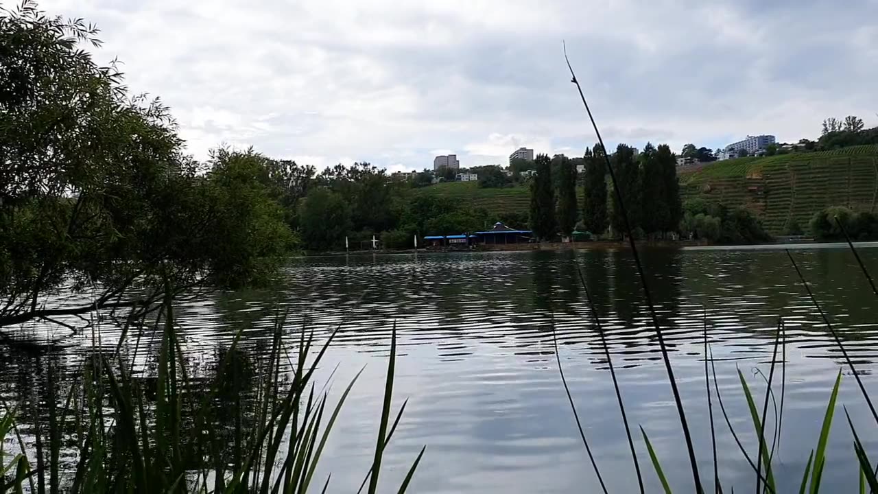 Peaceful Lake for Fishing