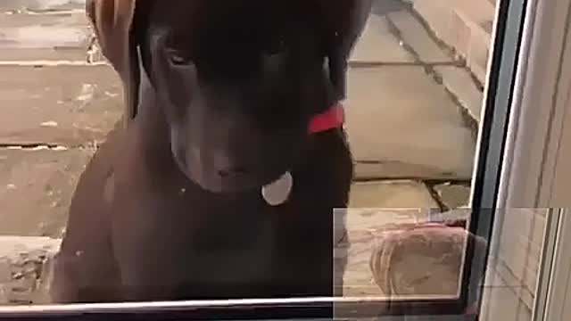 I won't let you in