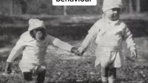 Science experiment that went wrong shorts