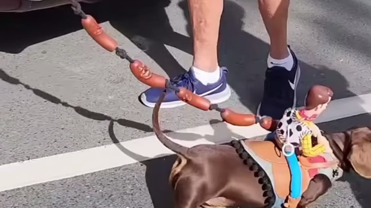 Woody Riding a Sausage Dog