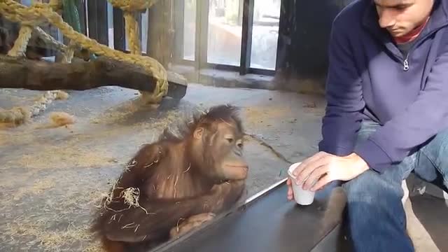 Ele não se aguento com a mágica e caio na garganta muito engraçado