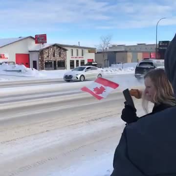 🇨🇦GO CANADA Canadian truckers are making moves