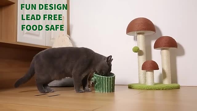 Cactus Cat and Dog Raised Food Bowl Elevated Ceramic Pet Bowls Tilted for Flat Faced